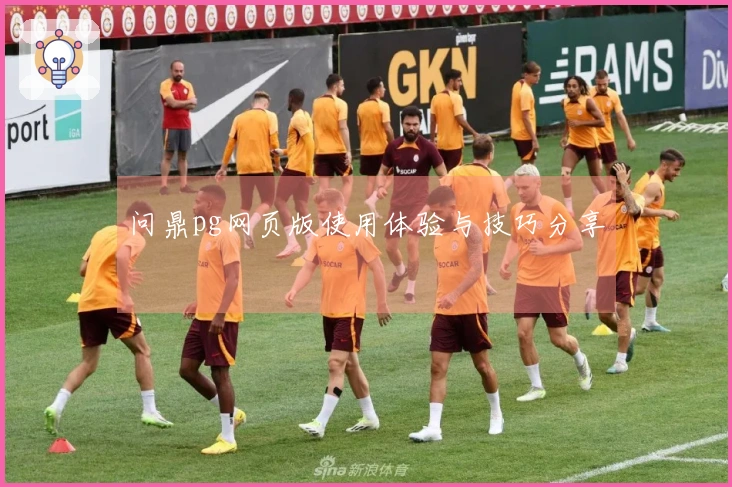 问鼎pg网页版使用体验与技巧分享