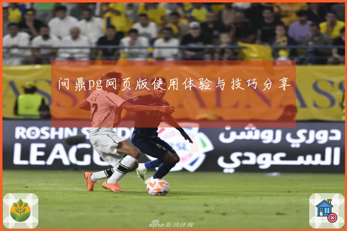问鼎pg网页版使用体验与技巧分享