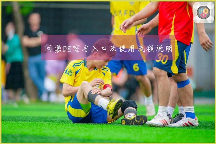 问鼎pg官方入口及使用流程说明