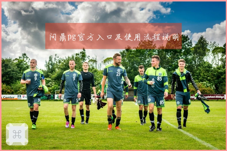 问鼎pg官方入口及使用流程说明